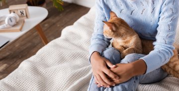 Perché un gatto è il compagno ideale per gli anziani