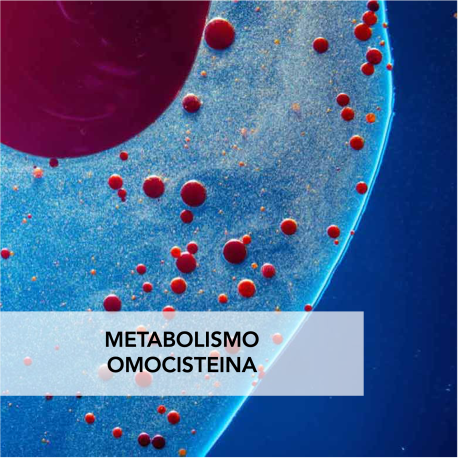 KIT - METABOLISMO OMOCISTEINA