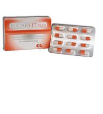 ECCARVIT PLUS 12CPS