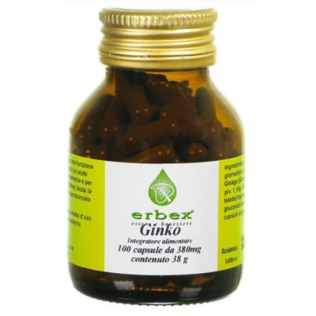 GINKGO BILOBA 100CPS 380MG