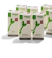 LAMPONE MG 50ML