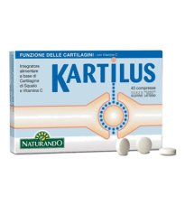 KARTILUS 40CPR NF