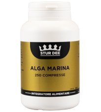 ALGA MARINA 250TAV STUR DEE