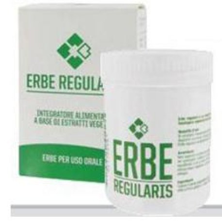 ERBE REGULARIS 80G