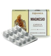 MAGNESIO 24CPS 1200MG