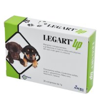 LEGART UP 30CPR