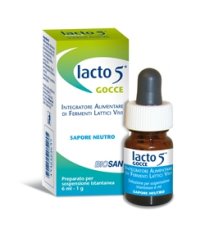 LACTO 5 GTT S/GLUT 6ML