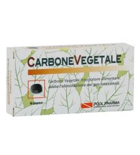 CARBONE VEGETALE 40CPR