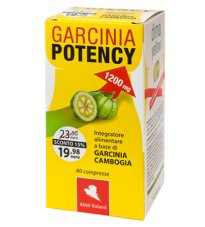 GARCINIA POTENCY 1200 DY 60CPR