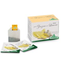 INFUSO TISANA CURC+LIM+MIE 20F