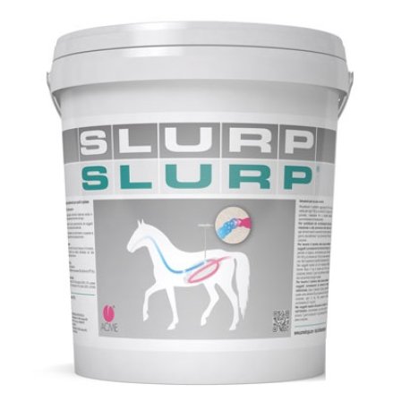 SLURP POLVERE 10KG