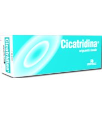 CICATRIDINA UNGUENTO NAS 15G