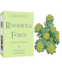 RHODIOLA FORTE 24CPS