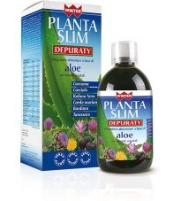 WINTER PLANTA SLIM DEPURATY