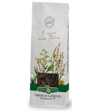 TABEBUIA TT CORTECCIA 100G