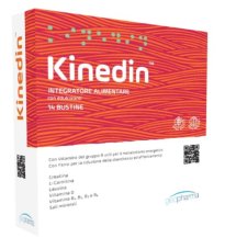 KINEDIN 14BUST