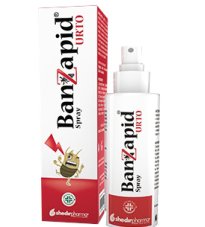 BANZAPID SPR TRATTAMENTO 100ML