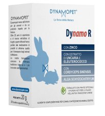 DYNAMO R 20BUST 2G