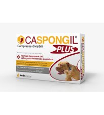 CASPONGIL PLUS 30CPR