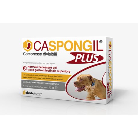 CASPONGIL PLUS 30CPR