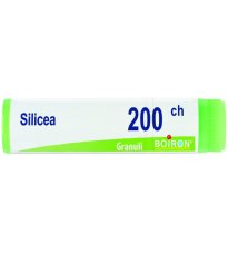 SILICEA 200CH GL