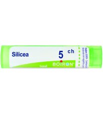 SILICEA 5CH GR