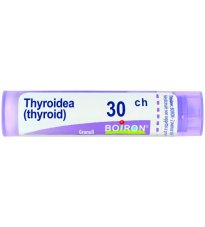 THYROIDEA 30CH GR