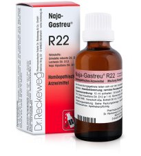 RECKEWEG R22 GOCCE 22ML