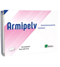ARMIPELV 20CPR