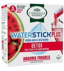 L'ANGELICA WATERSTICK+ DETOX