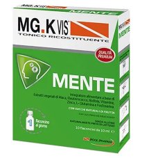 MGK VIS TONICO RICOS MENTE10FL