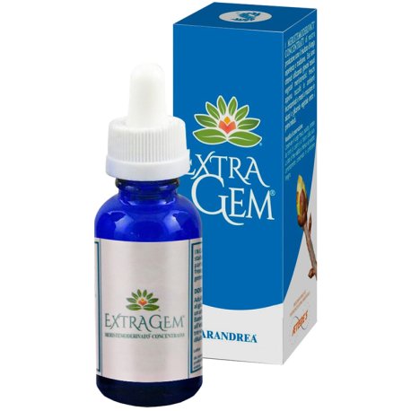 EXTRAGEM BETULLA BIANCA GEMME EXTRAGEM BETULLA BIANCA GEMME