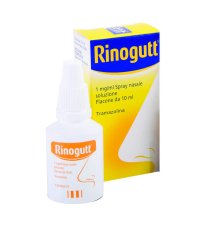 RINOGUTT*SPRAY NASALE 10ML