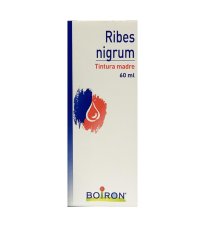 RIBES NIGRUM 60ML TM