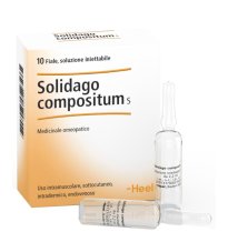 SOLIDAGO COMP 10F 2,2ML HEEL