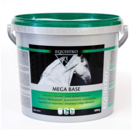 MEGA BASE EQUISTRO 3KG