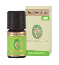 EUCALIPTO RAD OE 5ML