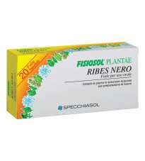 FISIOSOL PL RIBES NE 20F