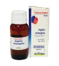 ANGELICA ARCANGELICA 60ML TM