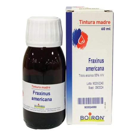 FRAXINUS AMERICANA 60ML TM