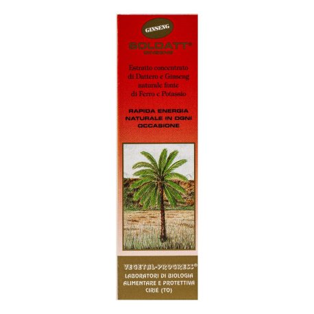 SOLDATT GINSENG 100ML