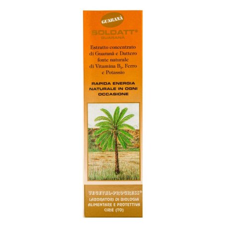SOLDATT GUARANA 100ML