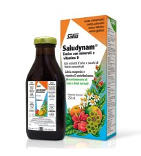 SALUDYNAM 250ML