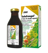 SALUFRANGOL 250ML