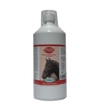 OLIO VIVO CAVALLI 1L