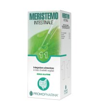 MERISTEMO 11 INTESTINALE 100ML