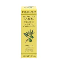 PROTEGGILABBRA BALSAMO 4,5ML