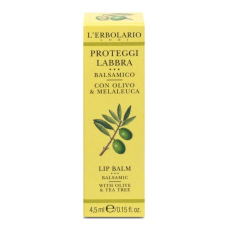 PROTEGGILABBRA BALSAMO 4,5ML