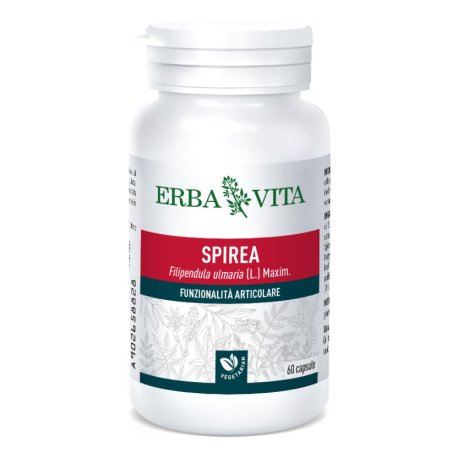 SPIREA ULMARIA 60CPS 400MG