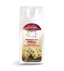 PANE ANNA PIZZA S/LATTE 500G